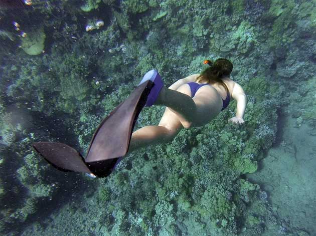 Snorkeling Isla Mujeres Mexico