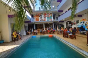 Les trois singes - Party and Friendly Hostel