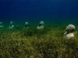 Cosas que Hacer en Isla Mujeres