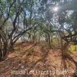 huge lot, punta sur across from captain dulce